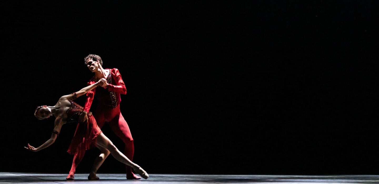 bannière secret du ballet